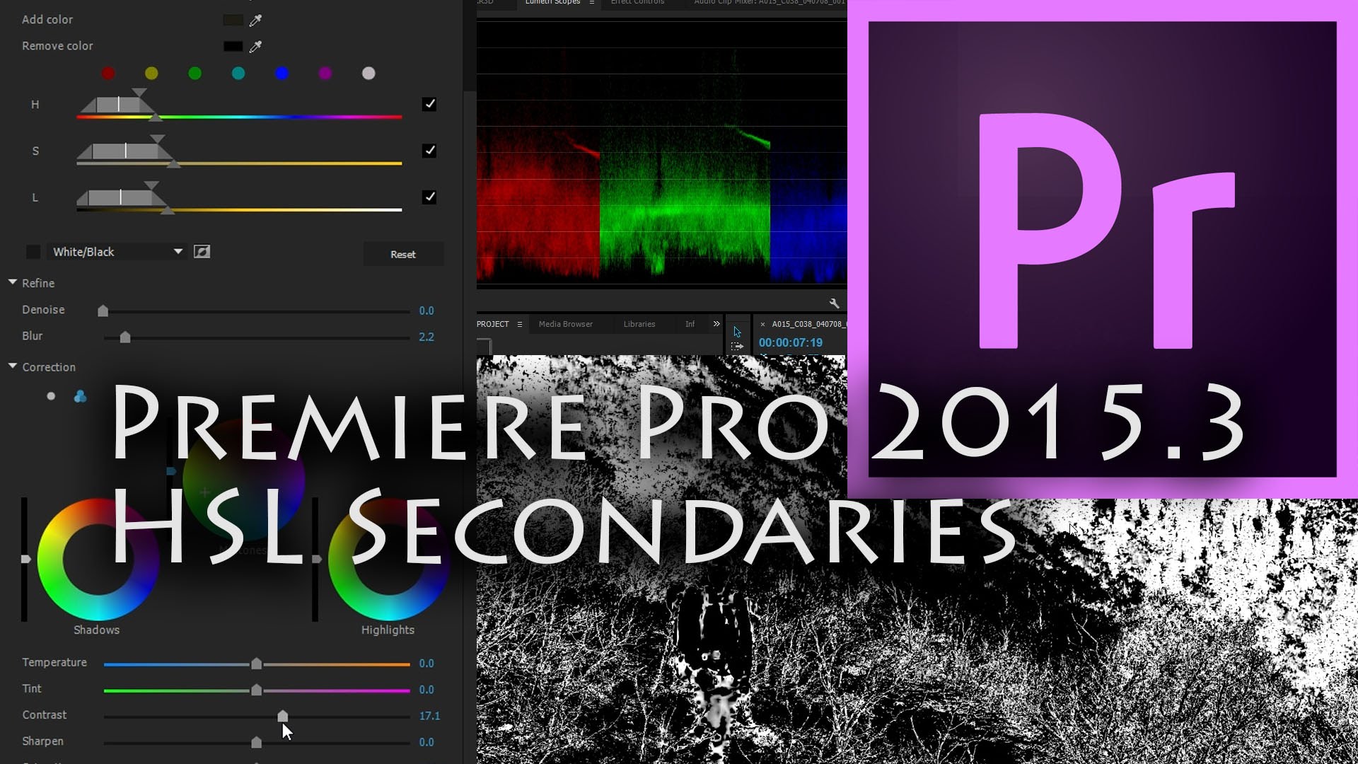 how to edit video with adobe premiere pro cc pdf